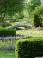 Bridge in flower garden